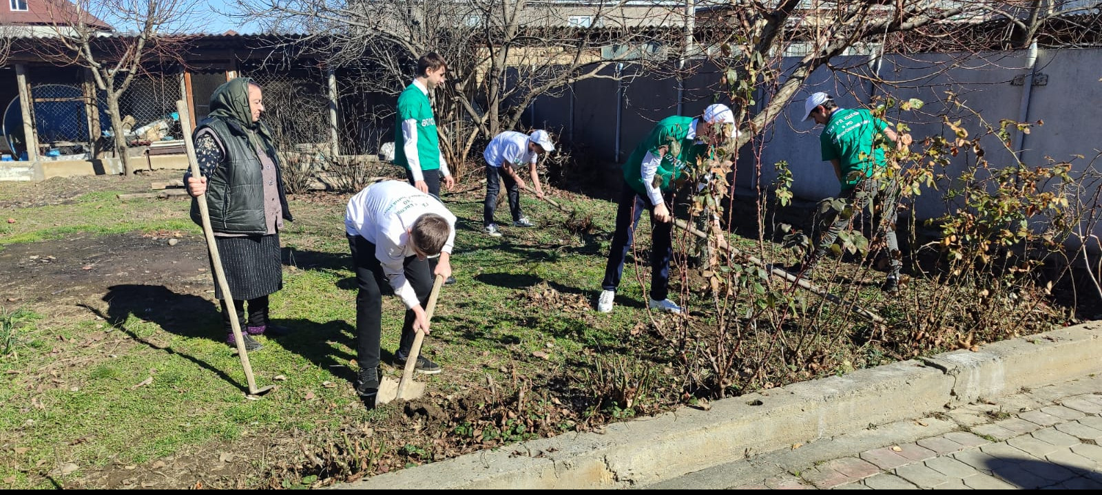 ПОМОЩЬ ВОЛОНТЕРОВ ПОЖИЛЫМ ГРАЖДАНАМ